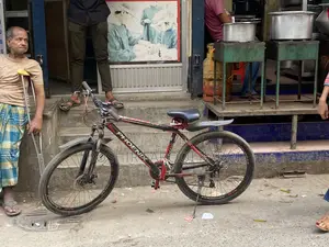 Phonix Cycle