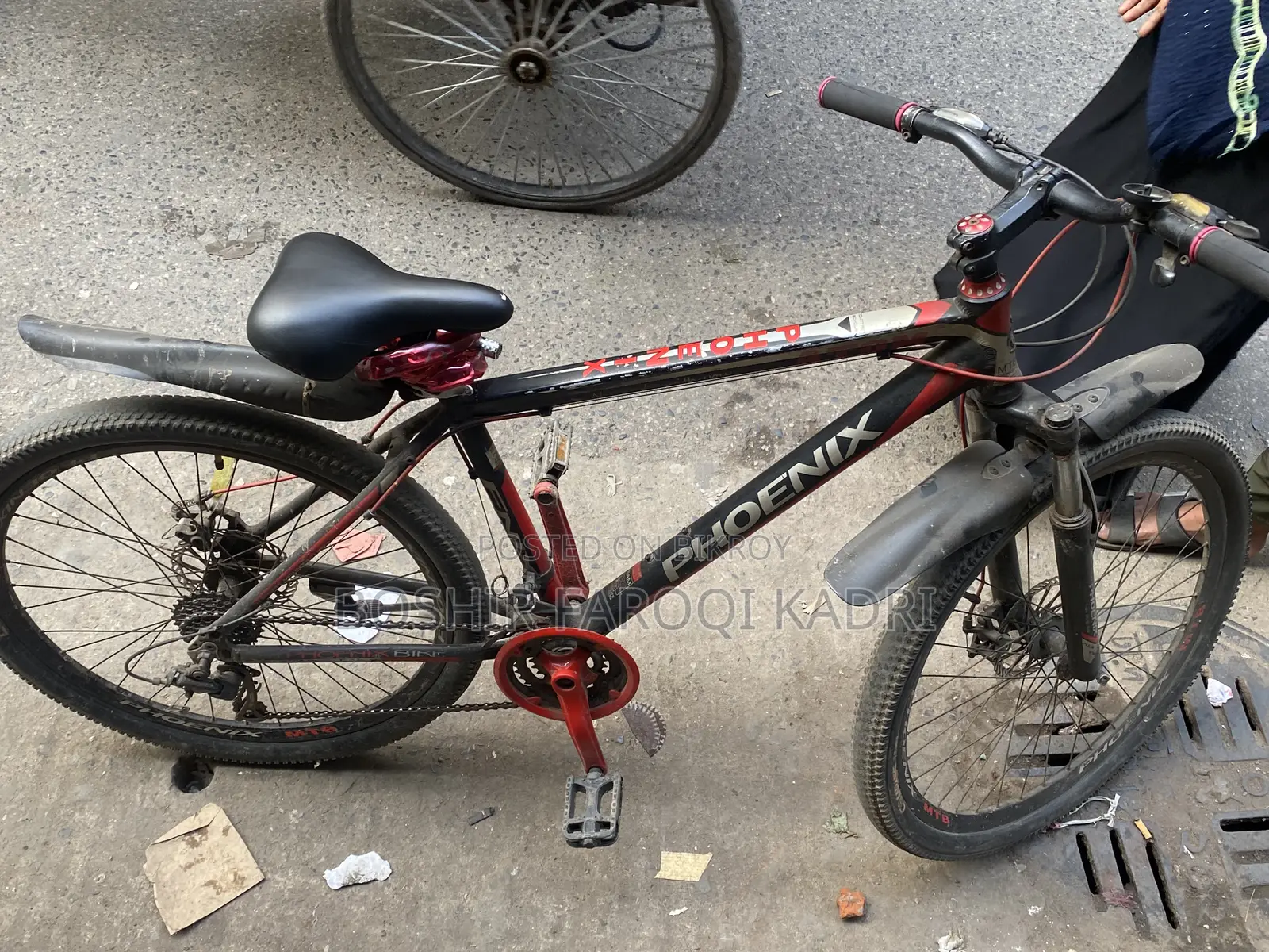 Phonix Cycle