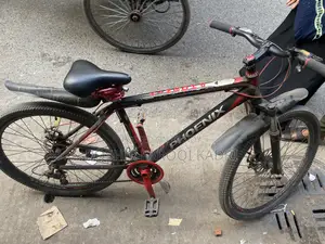 Phonix Cycle