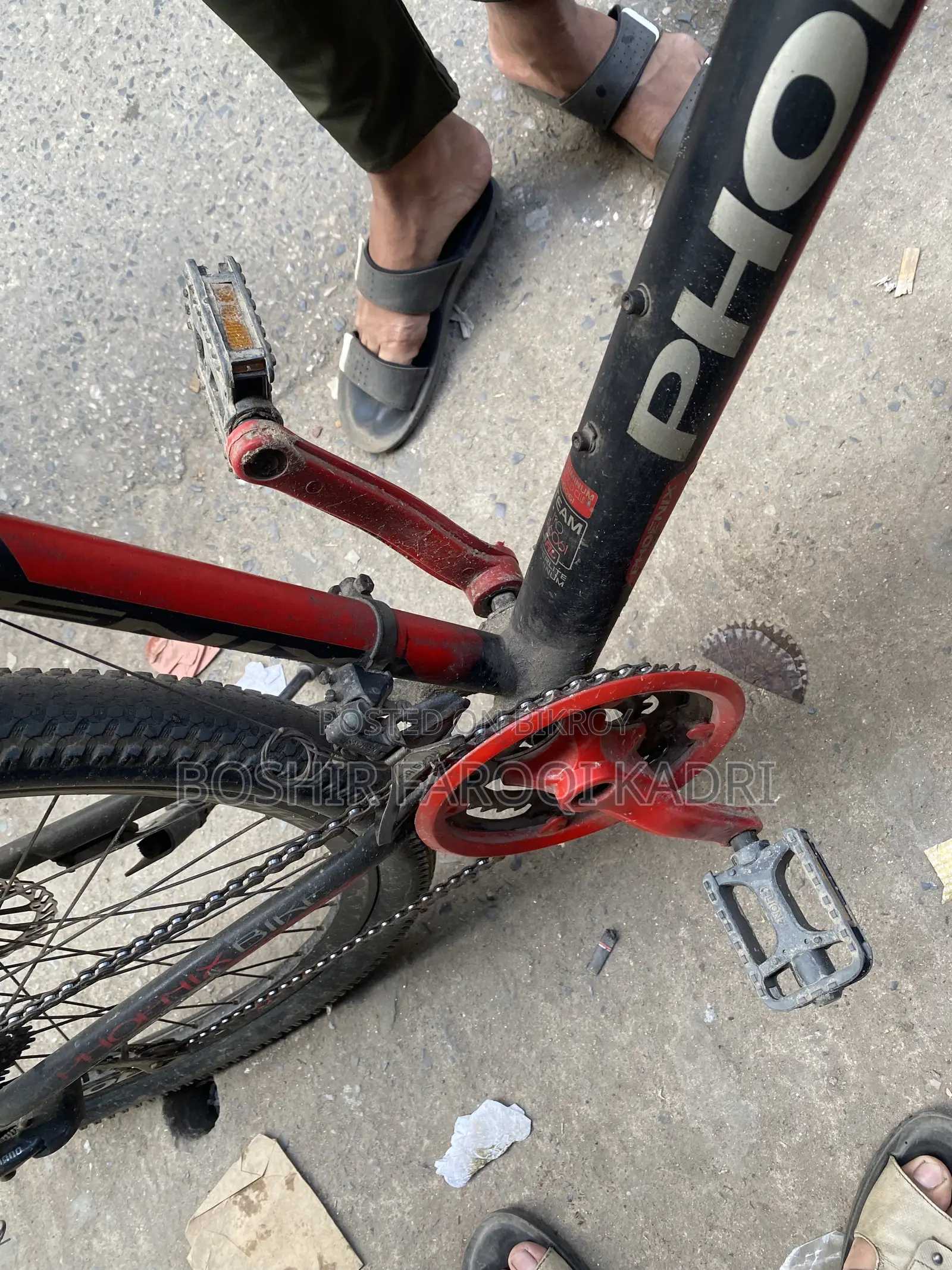 Phonix Cycle