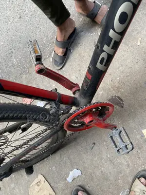 Phonix Cycle