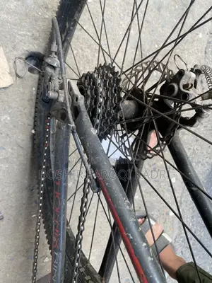 Phonix Cycle