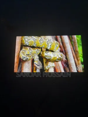 Smart Android TV