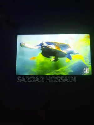 Smart Android TV