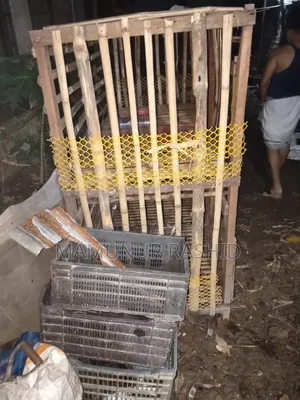 Chicken Coop