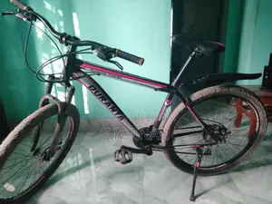 দুরন্ত সাইকেল