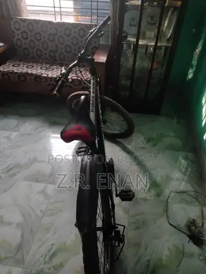 দুরন্ত সাইকেল