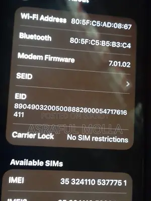 Apple 64 GB Silver