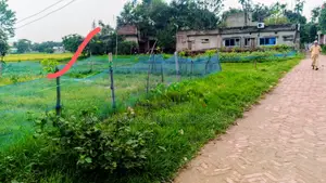 6 Decimal Land for Sale.