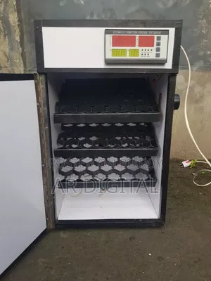 Incubator Machine (Full Automatic)