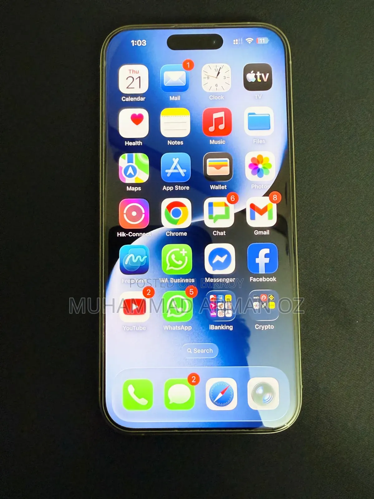 অ্যাপল আইফোন ১৫ প্রো ২৫৬ জিবি সিলভার