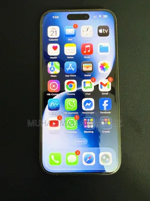 অ্যাপল আইফোন ১৫ প্রো ২৫৬ জিবি সিলভার