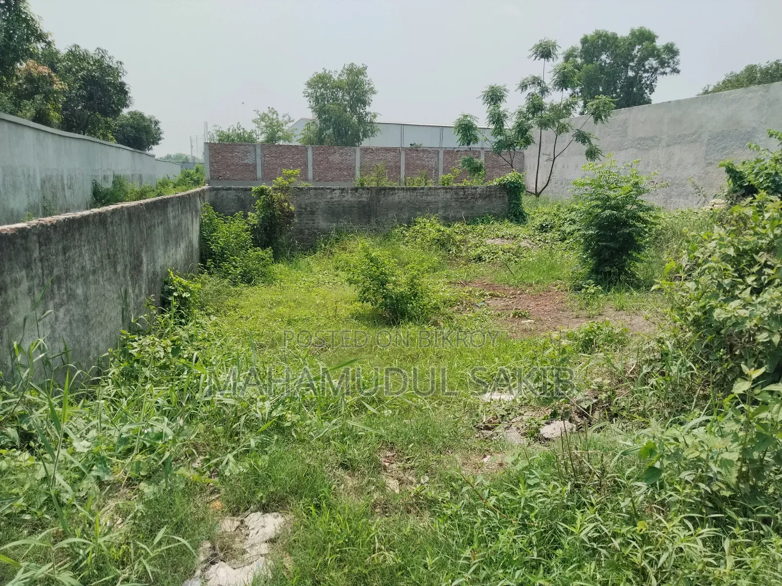 3 Katha, Land for Rent