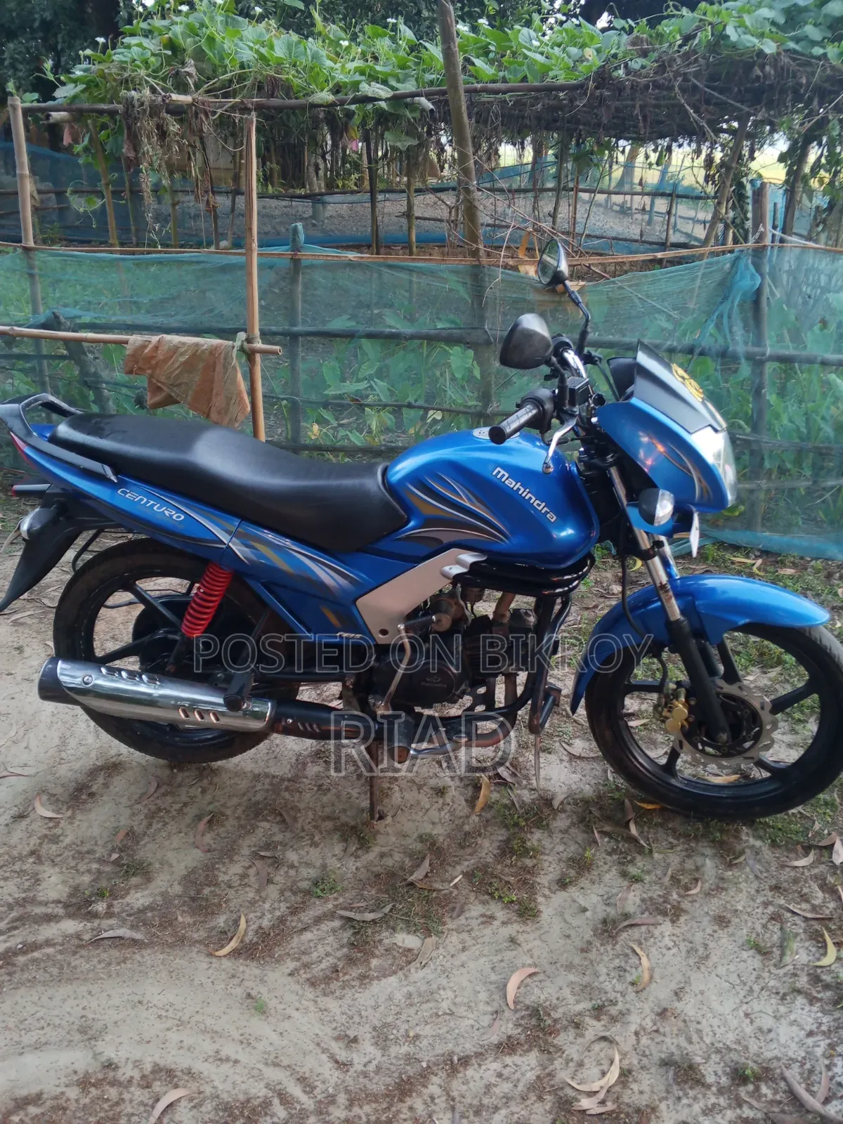 Mahindra Centuro 2019 Blue