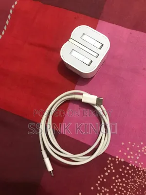 অ্যাপল অরিজিনাল চার্জার