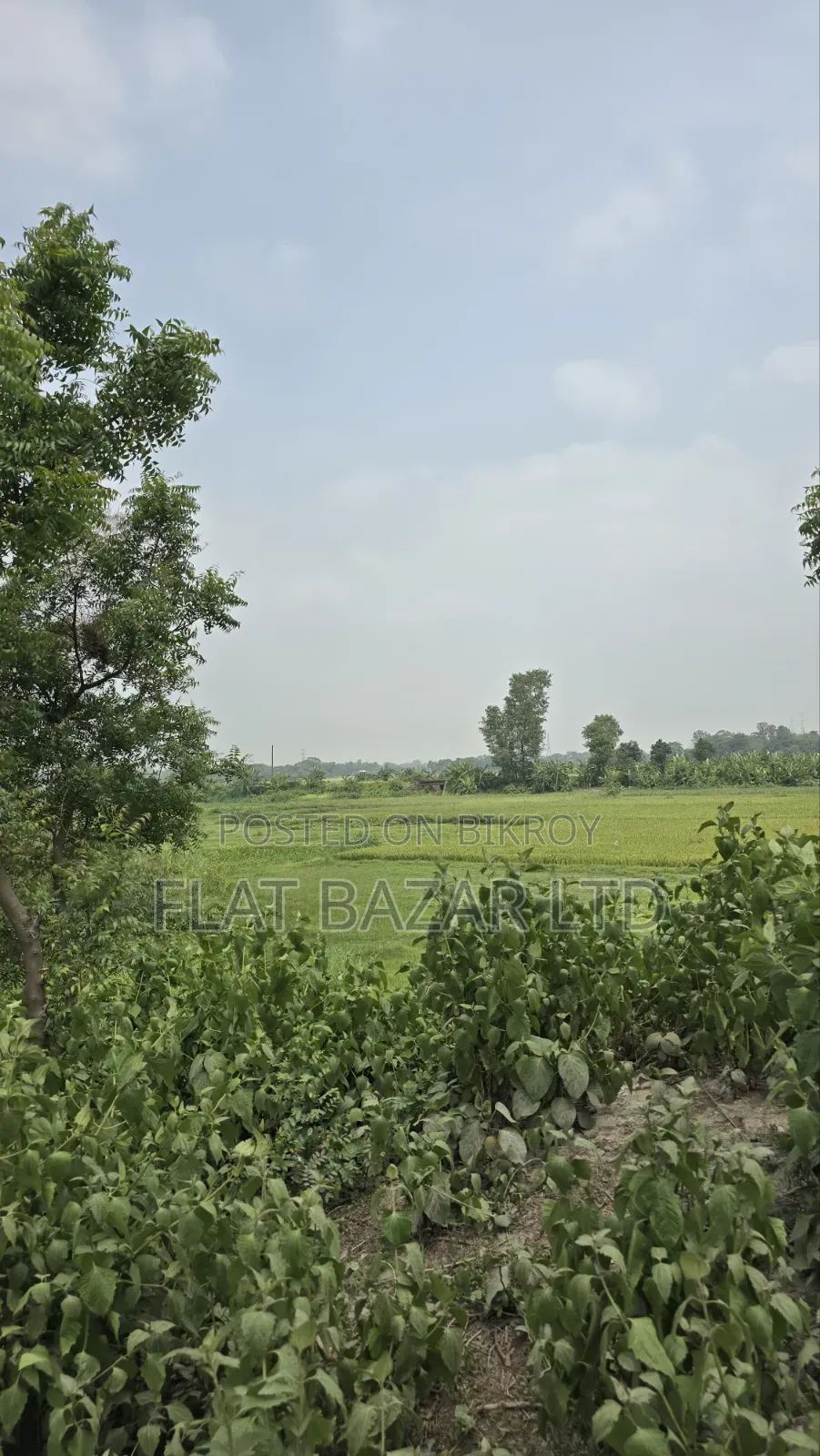 ১১২ শতাংশ জমি বিক্রয়