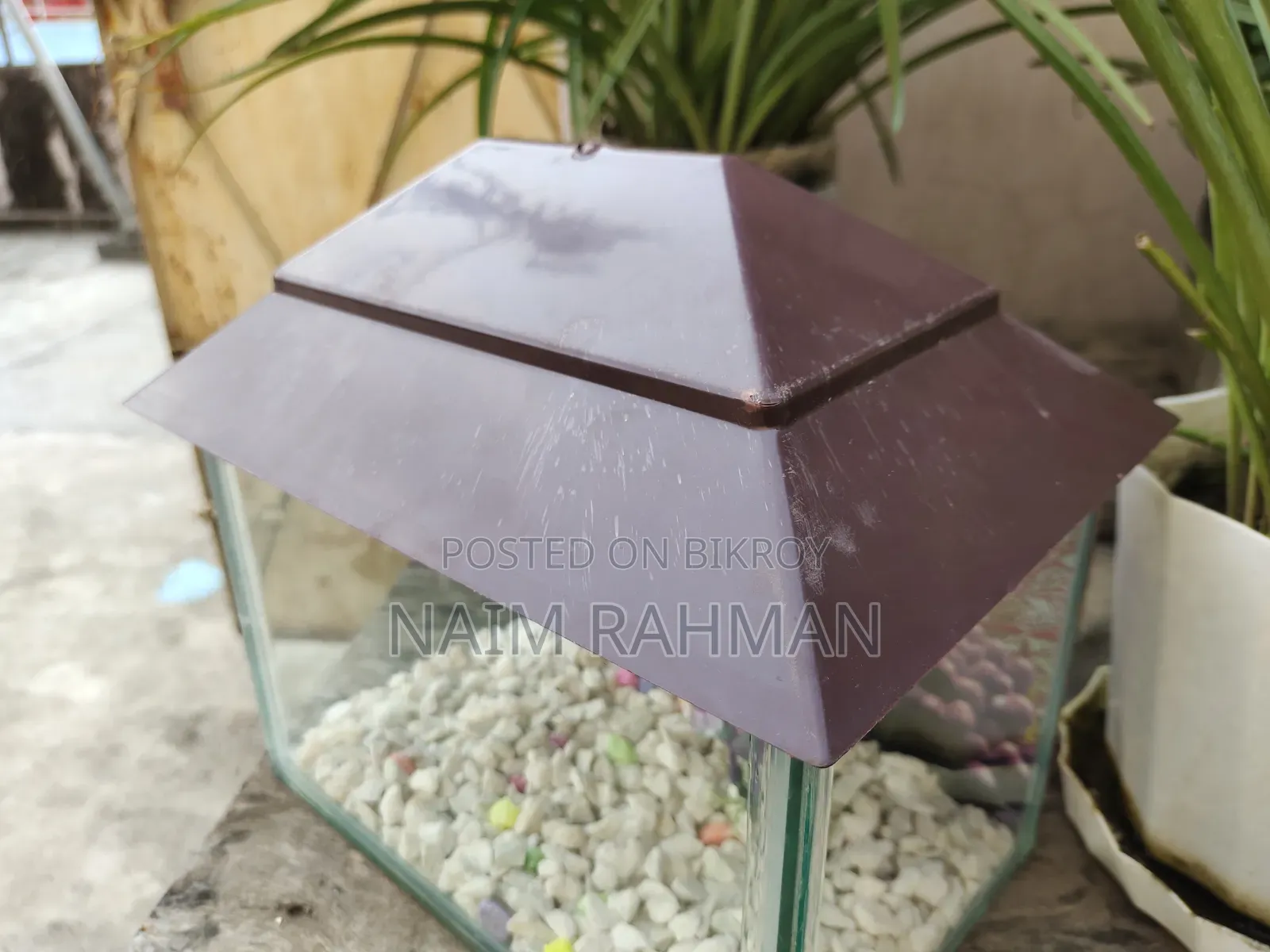 অ্যাকুরিয়াম বিক্রয়