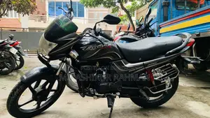 হিরো প্যাশন প্রো ২০১০ কালো