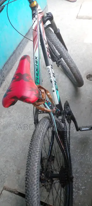 ফনিক্স নন গিয়ার সাইকেল