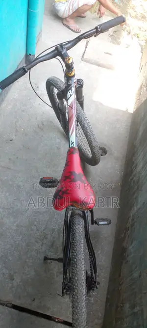 Phoenix Non-Gear Bicycle