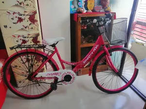 Ladies Bicycle