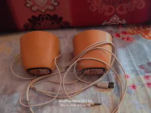 Logitech Z120 USB Speaker
