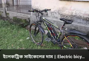 Electric Bicycle