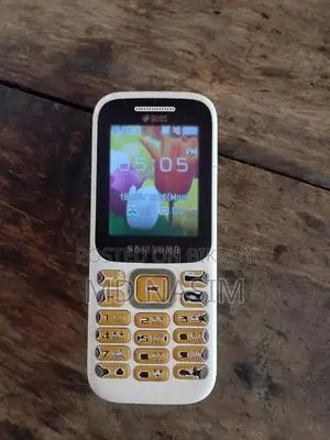 Samsung Guru Music 2 White