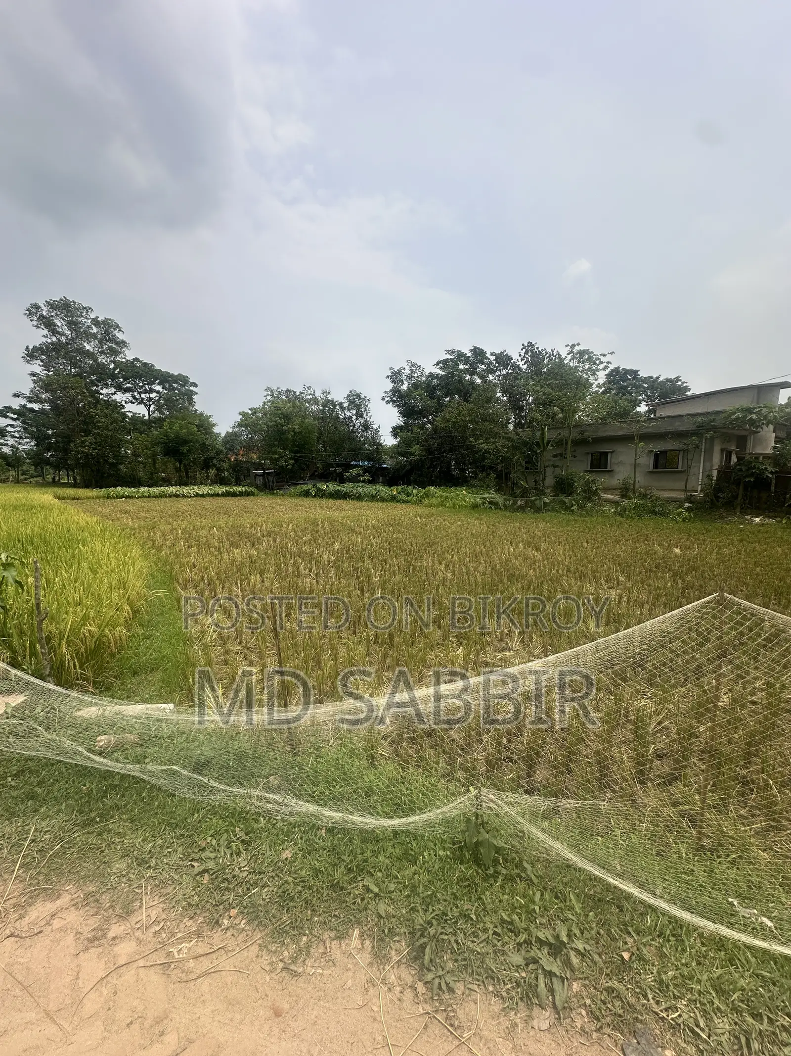 জমি বিক্রয়