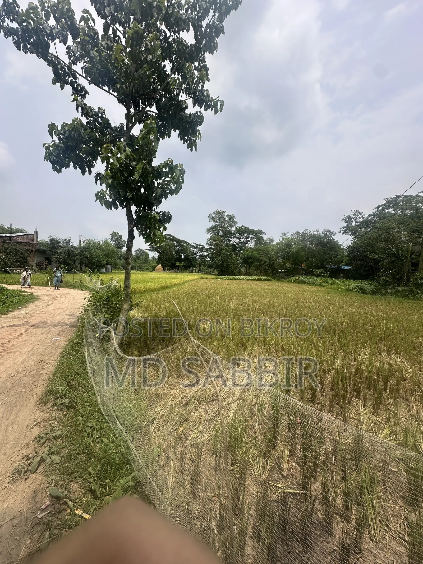 জমি বিক্রয়