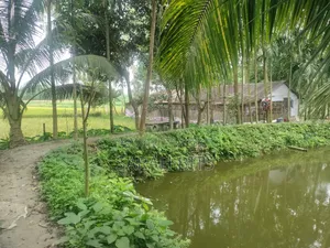 6-Bedroom House for Sale in Postim Poran, Pirgacha