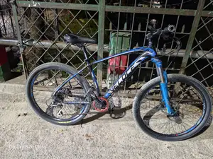 Bicycle 2018 Blue