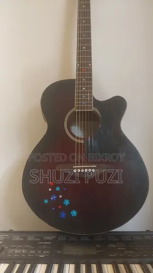 Acoustic Guitar Custom Sx Brand