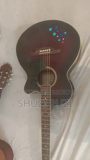 Acoustic Guitar Custom Sx Brand