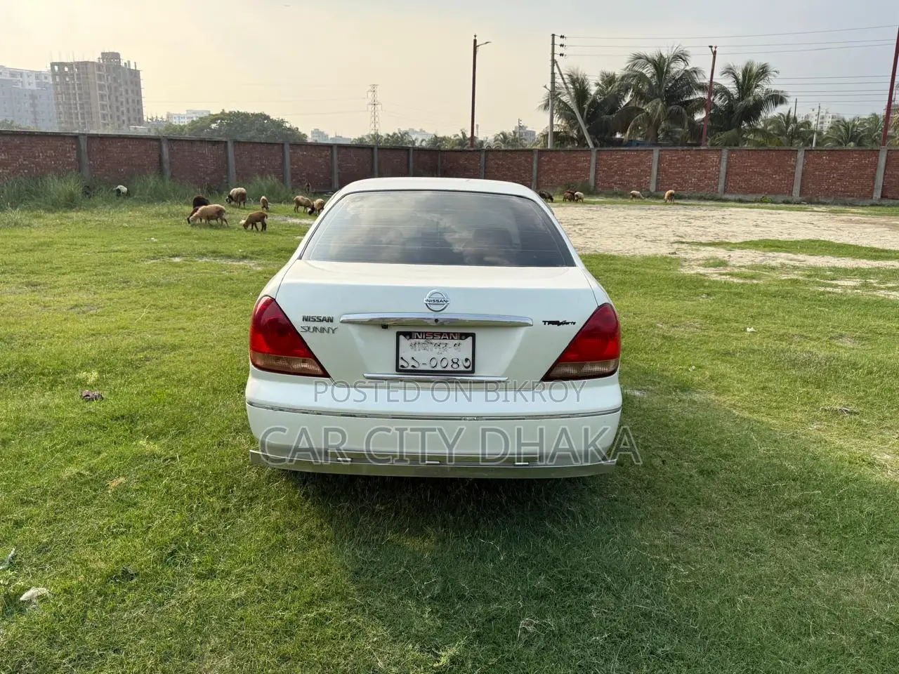 Nissan Sunny 2004 White