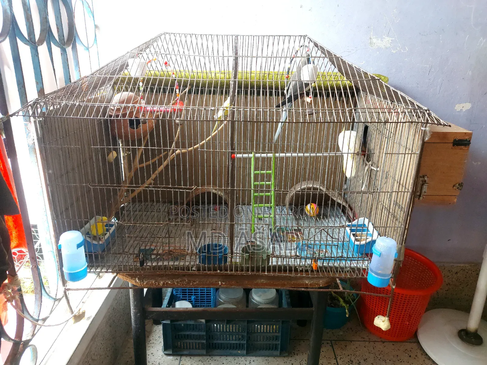 3-foot by 2-foot House-Shaped Two-Room Cage for Sale