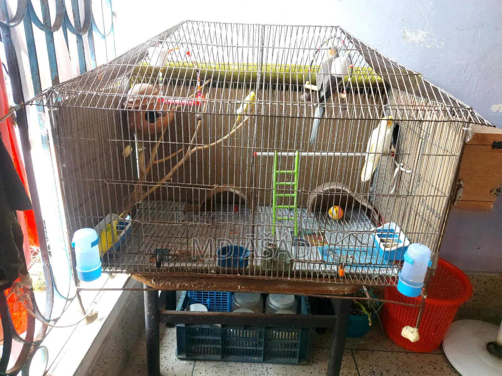 3-foot by 2-foot House-Shaped Two-Room Cage for Sale