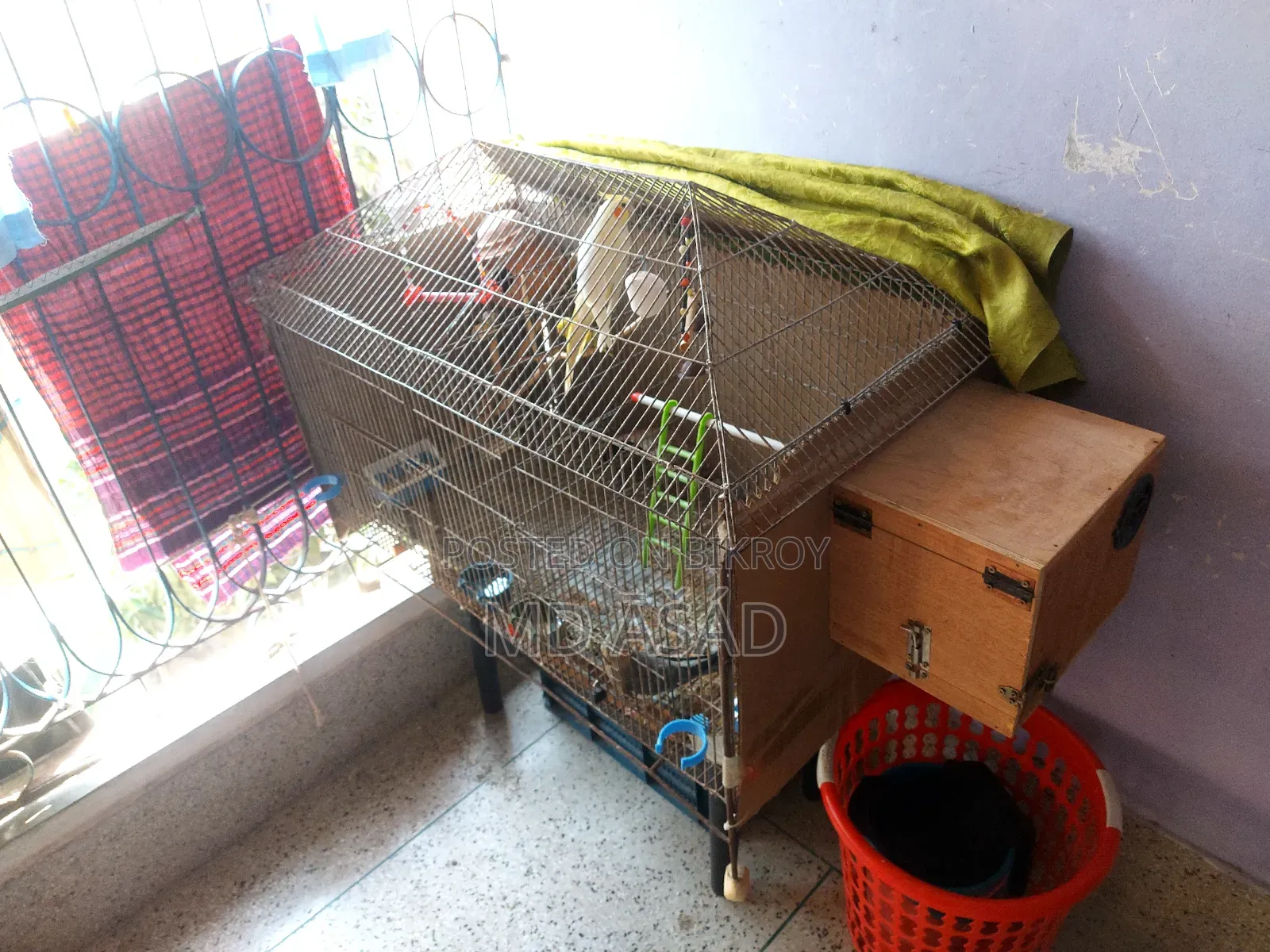 3-foot by 2-foot House-Shaped Two-Room Cage for Sale