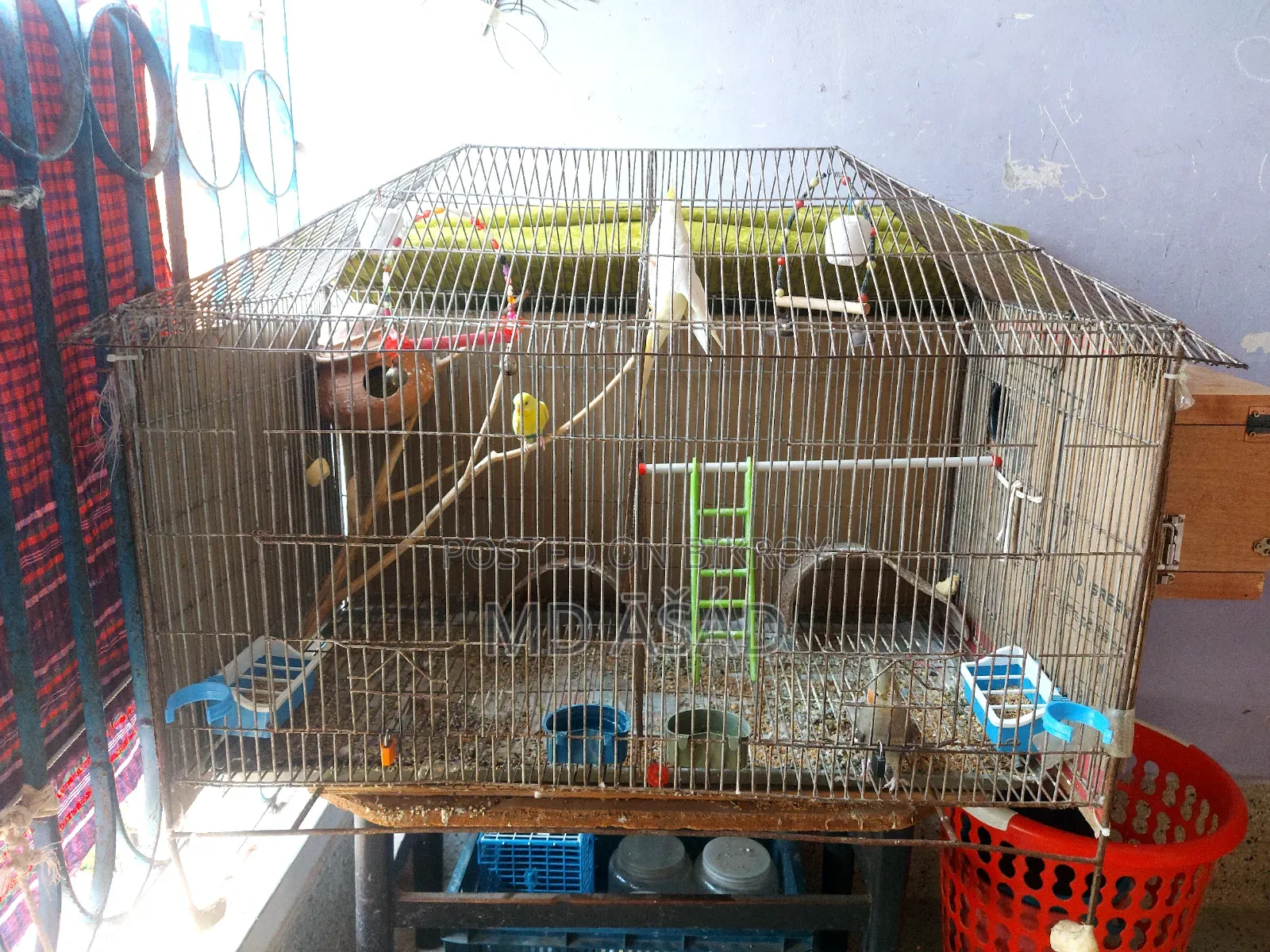 3-foot by 2-foot House-Shaped Two-Room Cage for Sale