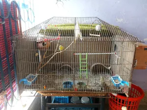 3-foot by 2-foot House-Shaped Two-Room Cage for Sale
