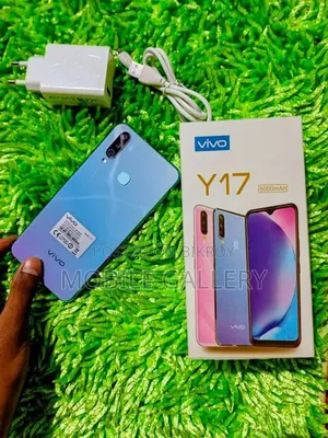 New Vivo Y17 256 GB