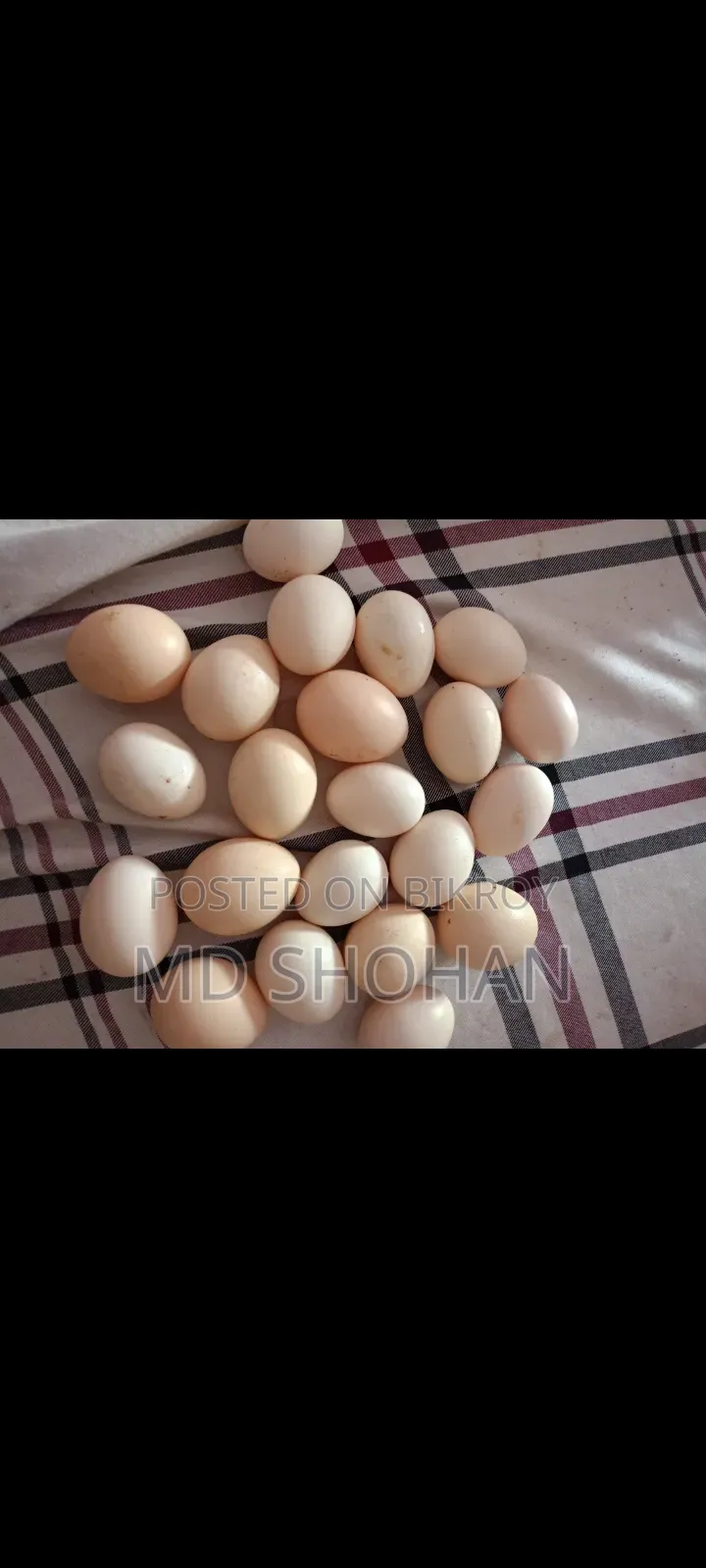 Deshi and Fayoumi Chicken Eggs