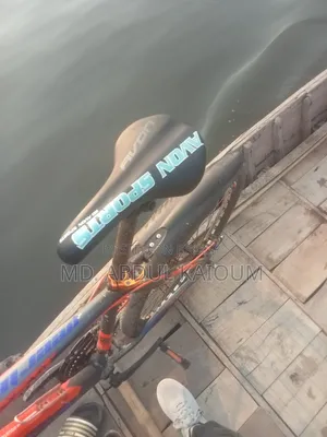 Bicycle in Perfect New Condition
