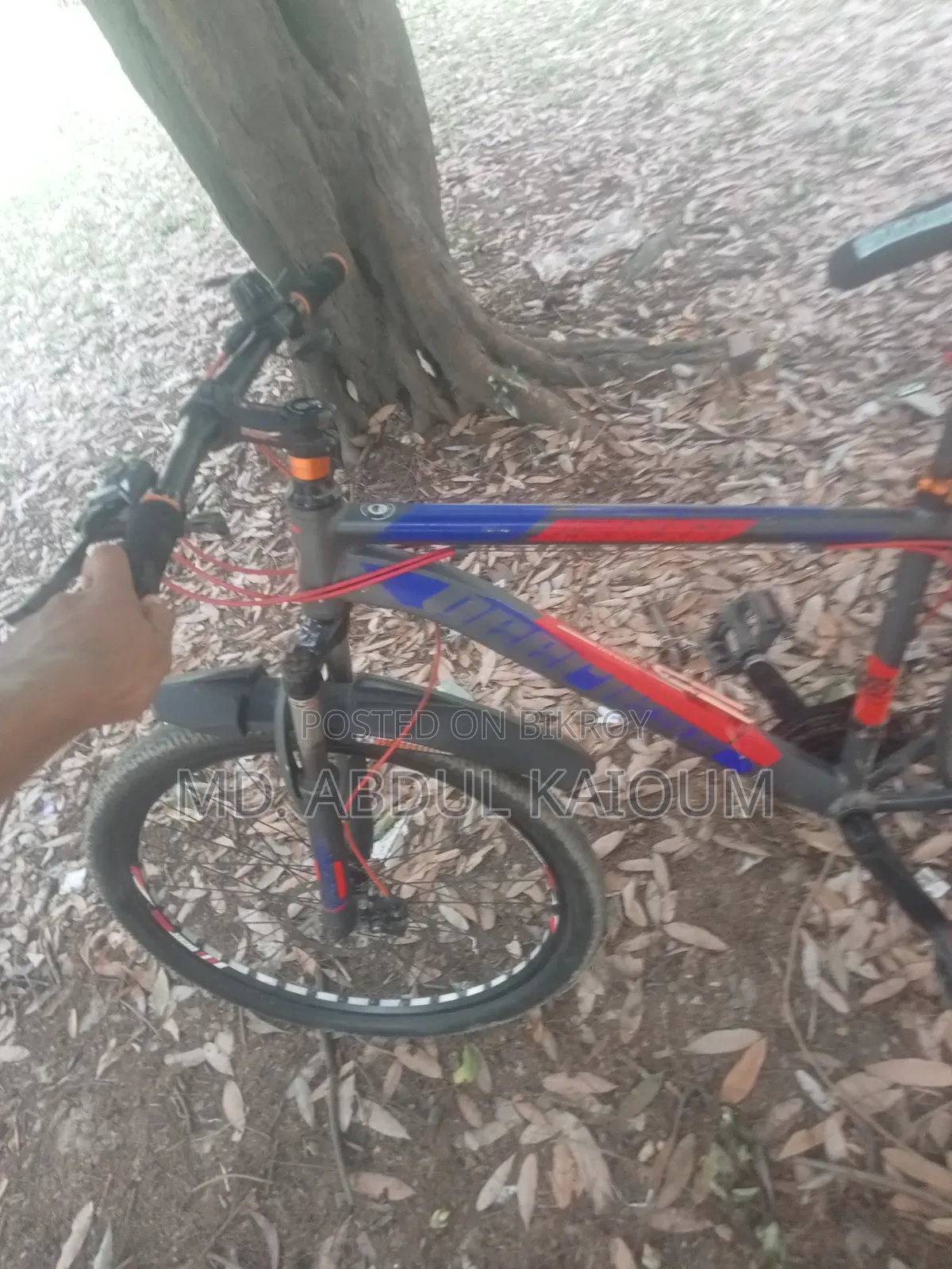 Bicycle in Perfect New Condition