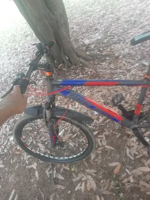 Bicycle in Perfect New Condition