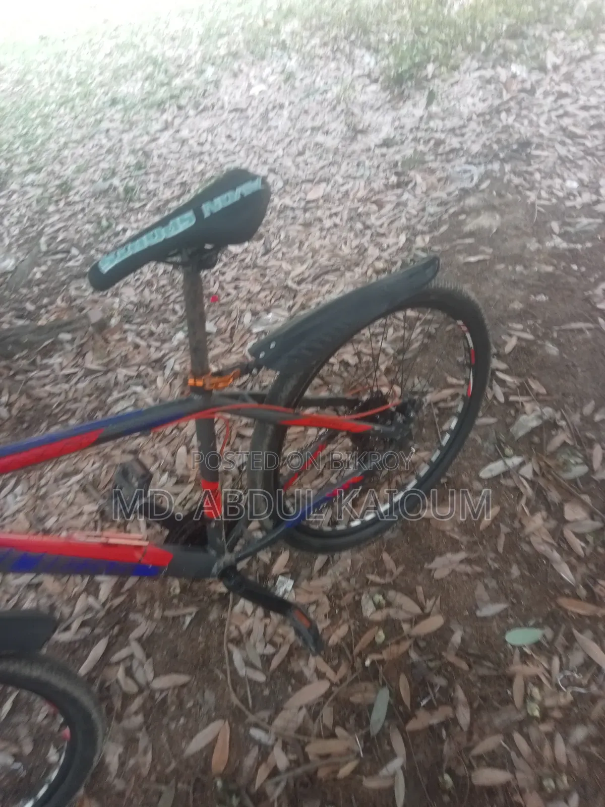 Bicycle in Perfect New Condition