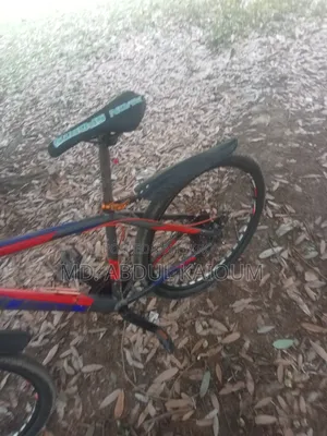 Bicycle in Perfect New Condition