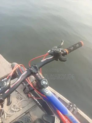 Bicycle in Perfect New Condition