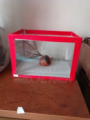 একুরিয়াম বিক্রি হবে