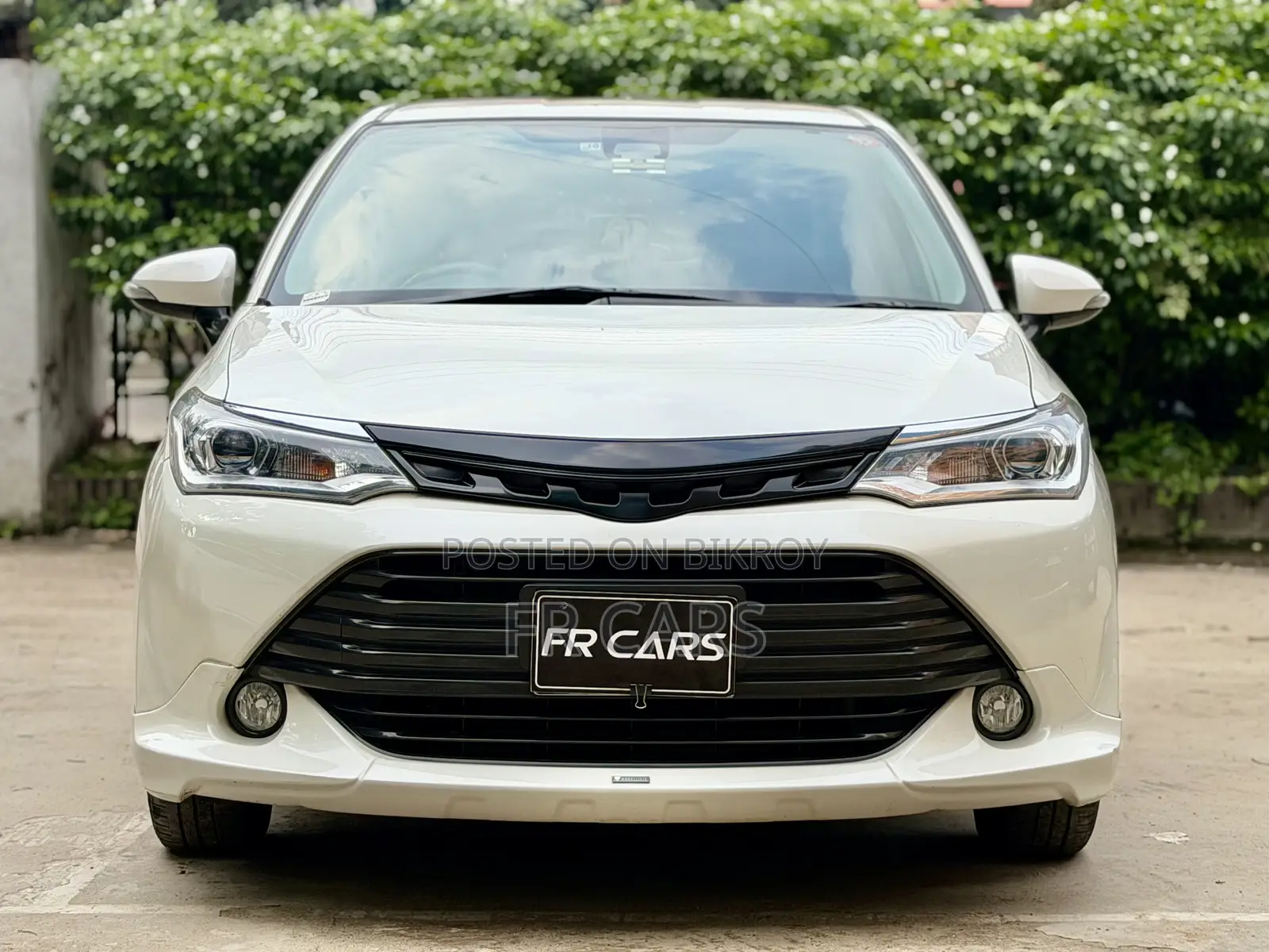 Toyota Axio 1.5 Hybrid G 2WD 2015 Pearl